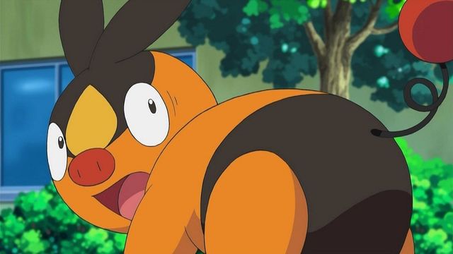 Tepig looks back with big eyes