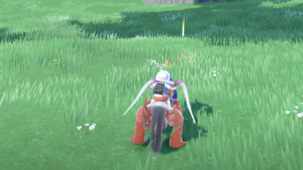 Pokémon