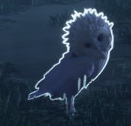 An image of a Shiny Fwooper from Hogwarts Legacy, which has white feathers.