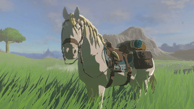 A horse from Zelda ToTK with a braided main.