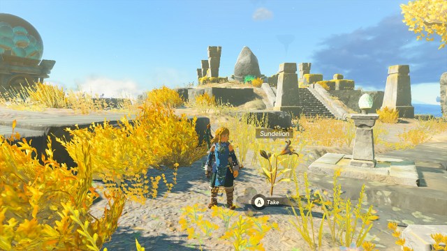 Photo of Link standing next to a Sundelion