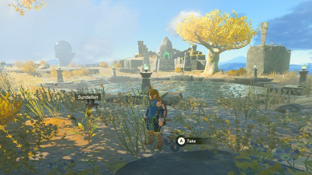 ToTK screengrab of link standing next to a Sundelion on a Sky Island