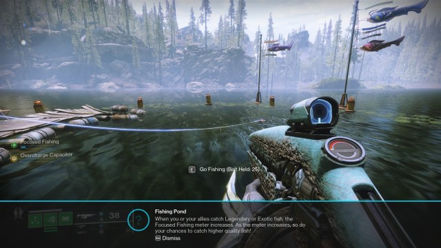 A player stands near a fishing spot in Destiny 2.