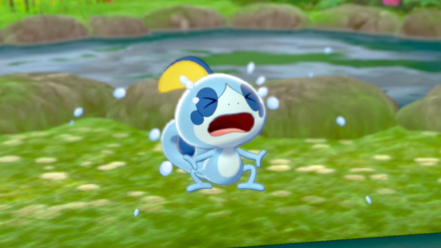 The Pokemon Sobble crying on a grassy hill next to a river.