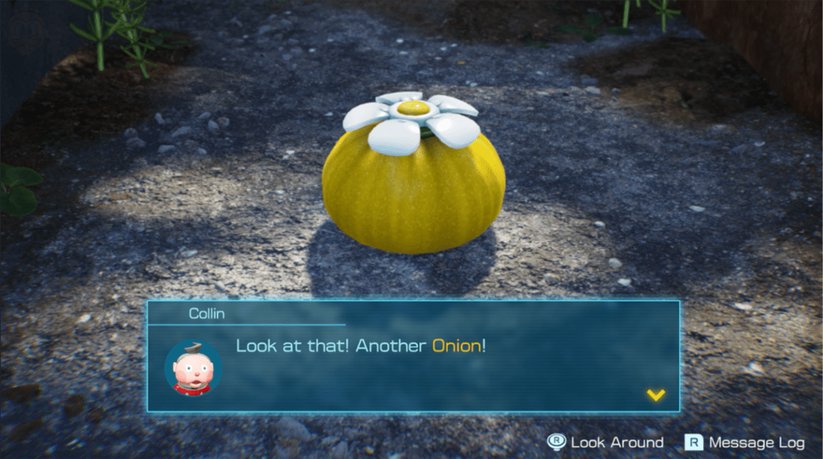 Yellow Pikmin Onlion is found in Pikmin 4