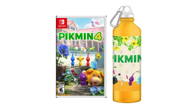 Pikman 4 stainless steel water bottle