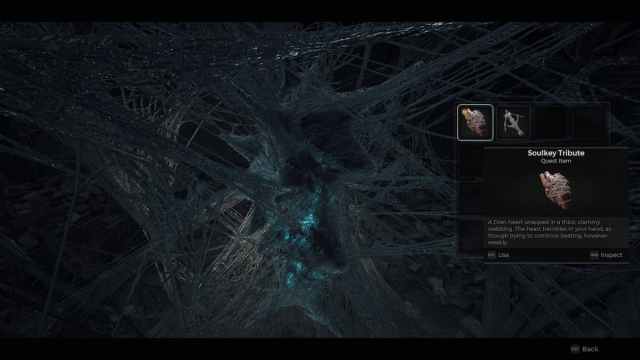 The Nightweaver Web in Remnant 2