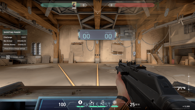 Reyna using the Nerd Glasses crosshair in VALORANT's shooting range