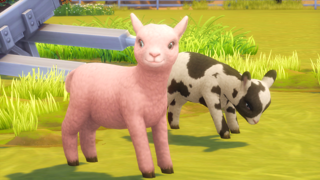 A pink sheep standing up and smiling and a dalmation sheep grazing the ground right behind it.