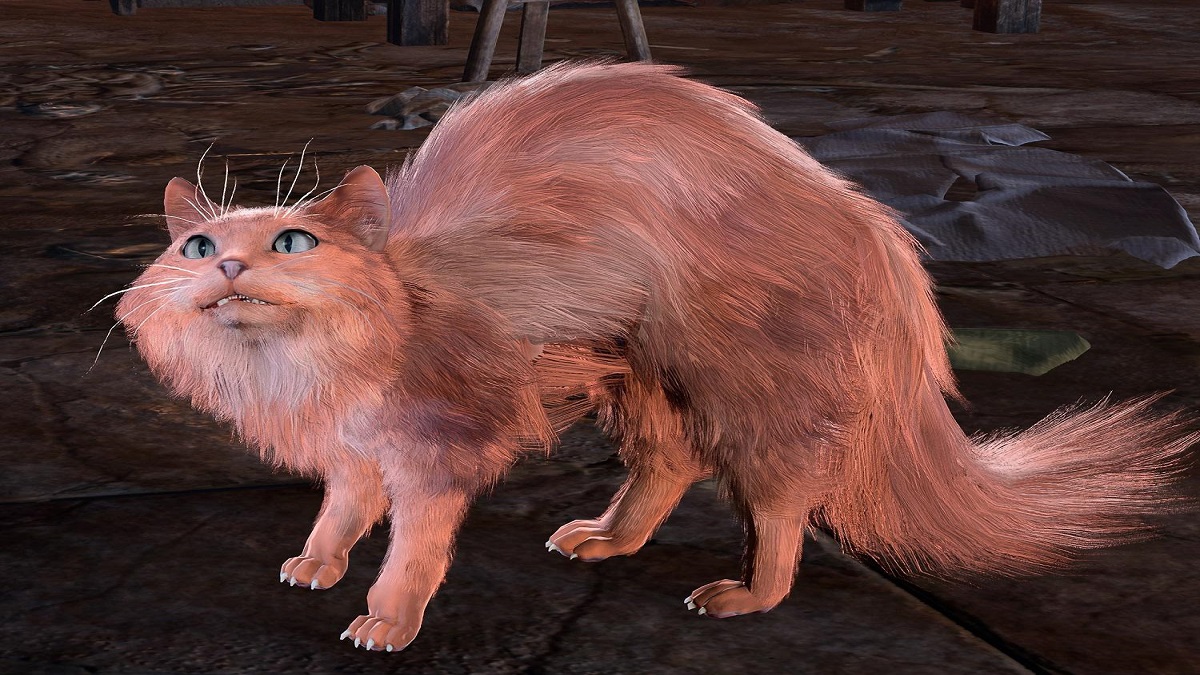 An image of a pink cat in defense mode in Baldur's Gate 3.