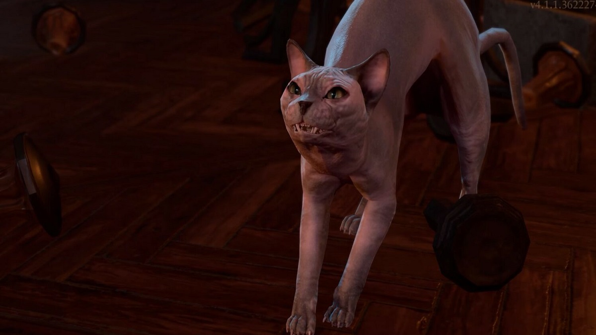 An image of a hairless cat mid stretch in Baldur's Gate 3.