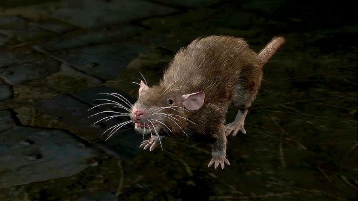 An image of a rat in conversation with the player character in Baldur's Gate 3.