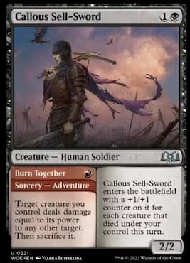 Image of soldier walking through battle wasteland through MTG Callous Sell-Sword Adventure in Wilds of Eldraine