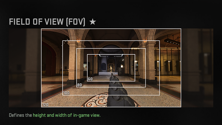 The FOV setting in MW2.