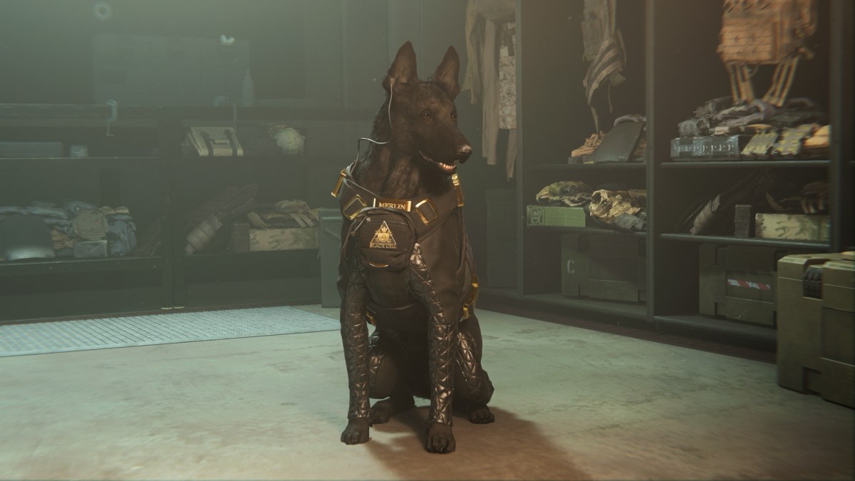 The K9 unit Merlin companion in Call of Duty season five.