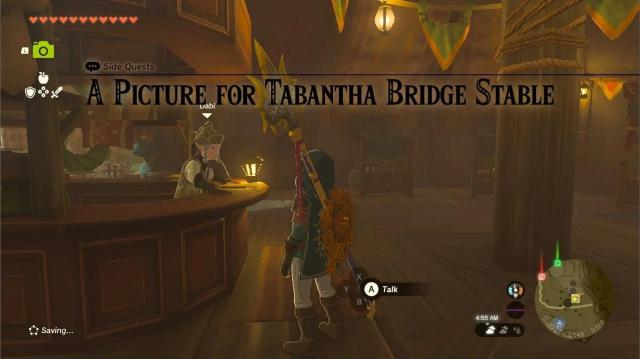 Photo of Dabi at Tabantha Bridge Stable