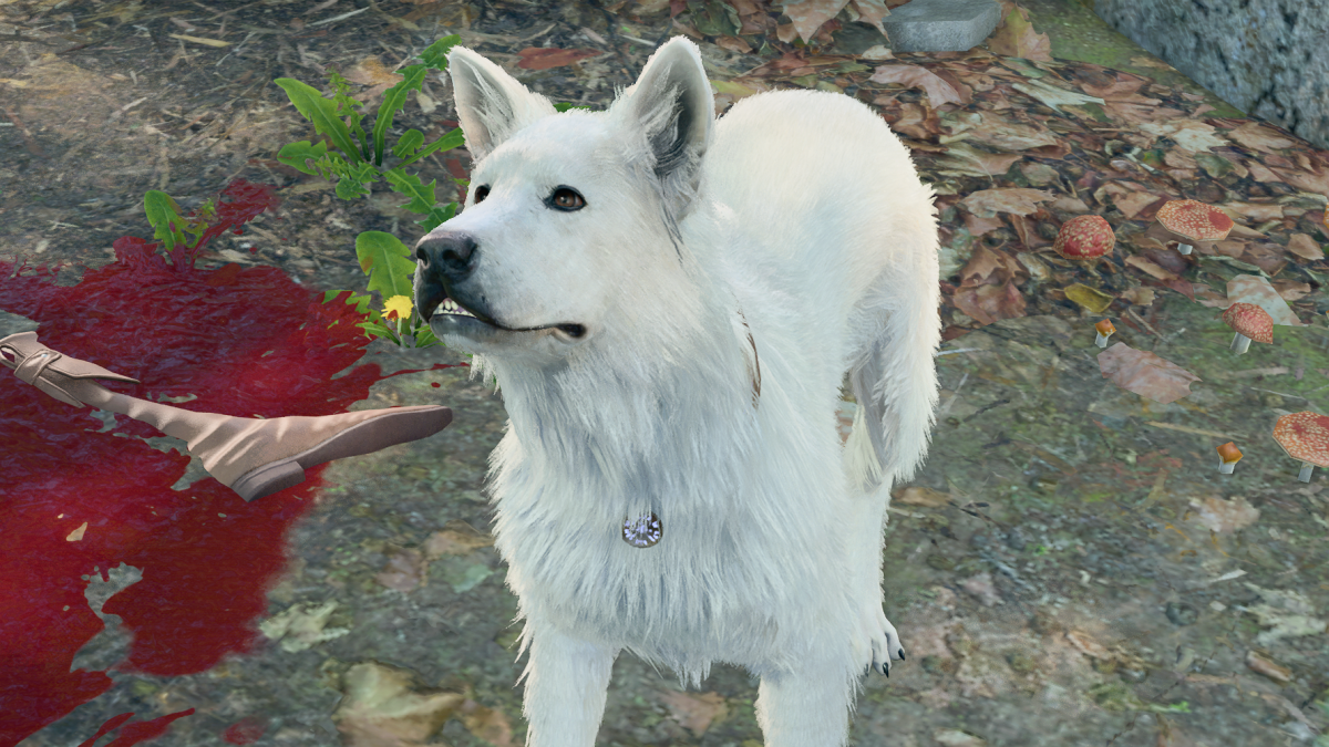 Scratch the dog from Baldur's Gate 3