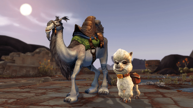 Dottie Pet and White Riding Camel Mount standing in a zone in WoW with the sun behind them.
