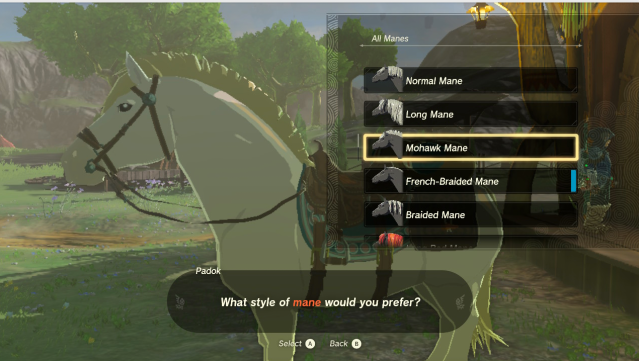 Screenshot of the Mohawk Mane from Zelda ToTK.
