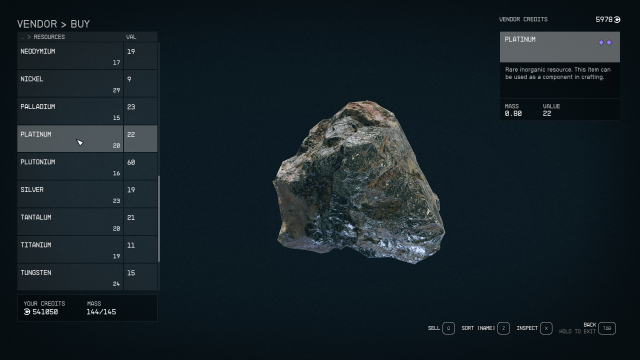 Image of a chunk of Platinum, being sold by a merchant.