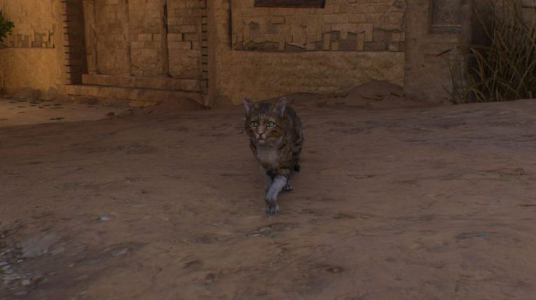 cat walking toward screen in assassin's creed mirage