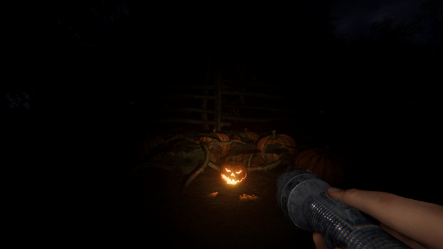 A pumpkin by a pumpkin patch.