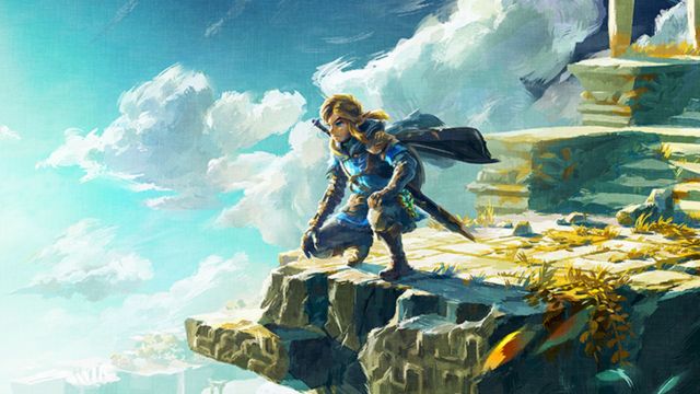 link overlooking hyrule in zelda: tears of the kingdom