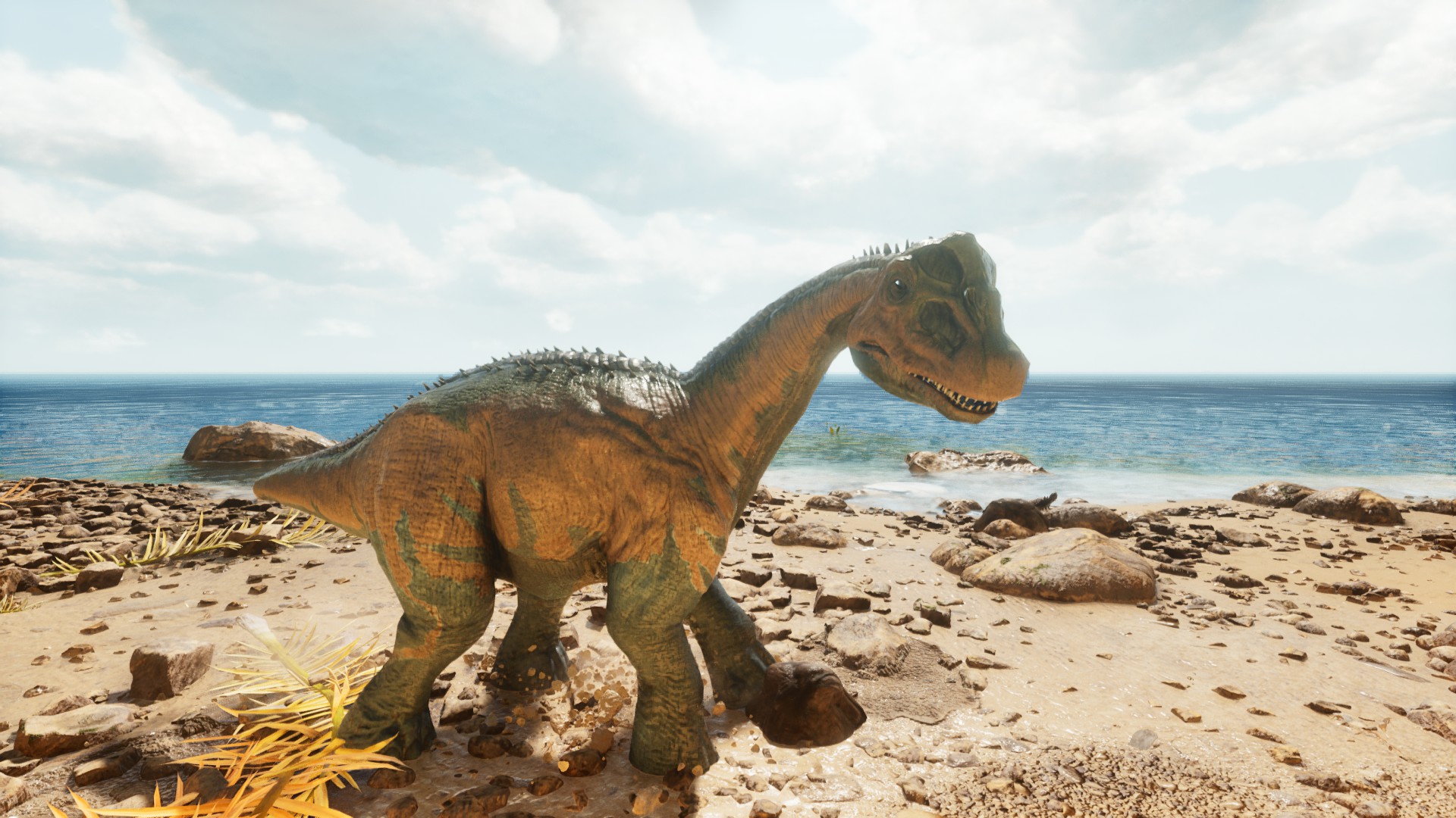 A wild baby Brontosaurus on the beach in Ark: Survival Ascended.