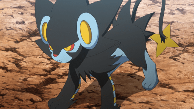 A blue, cat-like animal covered in black, spikey fur is ready to attack.