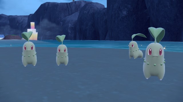 A group of Chikorita stand on an island in Pokémon Scarlet and Violet.