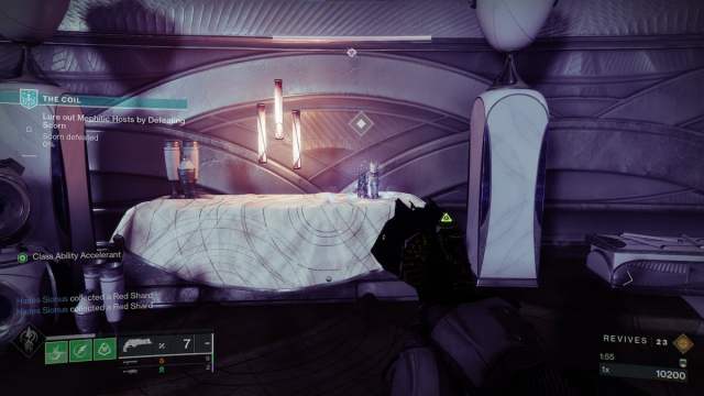 Where to find Gnashing Chamber Starcat in Destiny 2