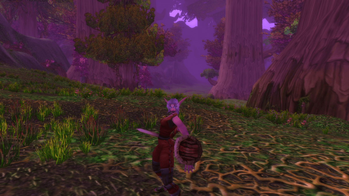 Image of an elf in WoW SoD.