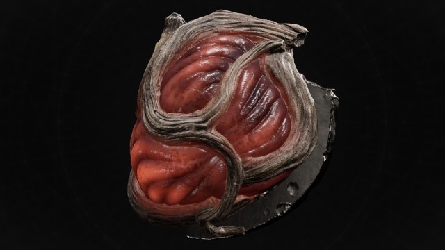 A red ruby with root-like outgrowths sits on a black background in Remnant 2.