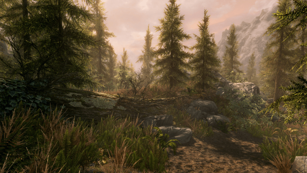 Skyrim special edition grass and trees