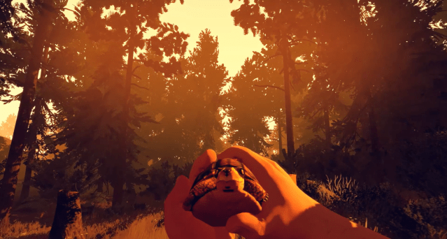 Henry holding tortoise in Firewatch