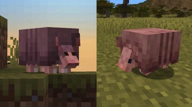 The old versus the new Armadillo.