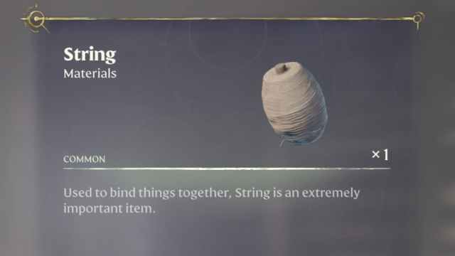 The description page for String.