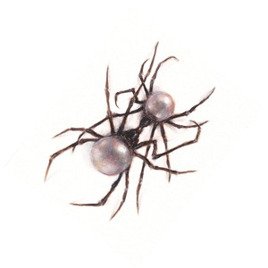 An image of the Paint The Town Red cover art, a song in Fortnite Festival. This cover features two spiders with pearls as bodies. 