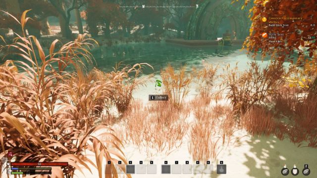 A screenshot of Fibre ferns in the Desert Biome of Nightingale.