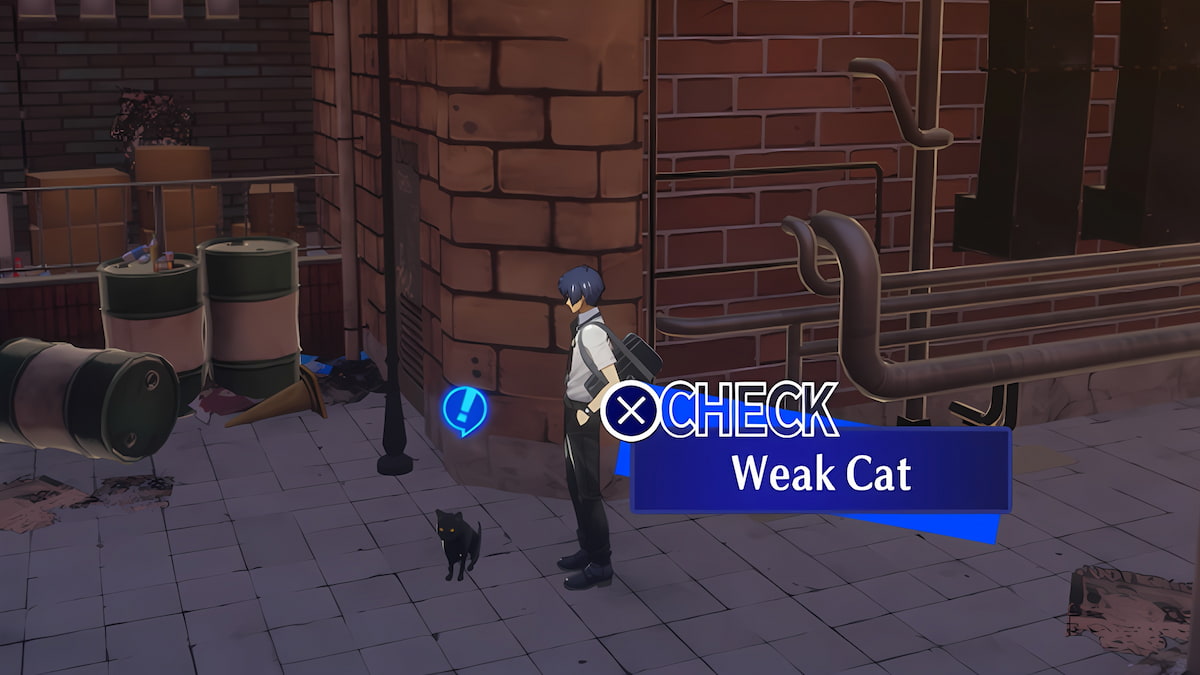 Weak cat in Persona 3