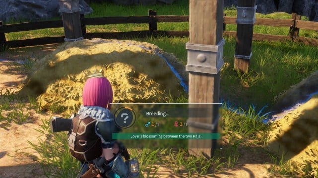 The player looking at the "Breeding..." marker on the Breeding Pen.