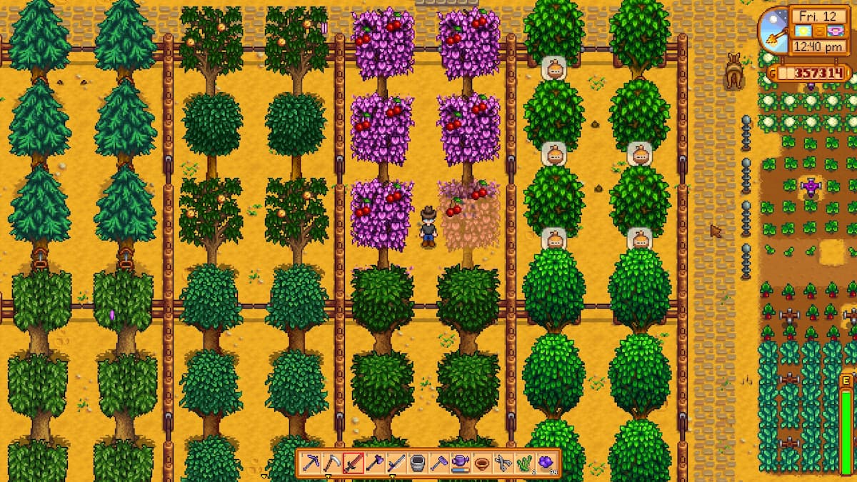 Stardew Valley character is standing in the middle of a tree farm