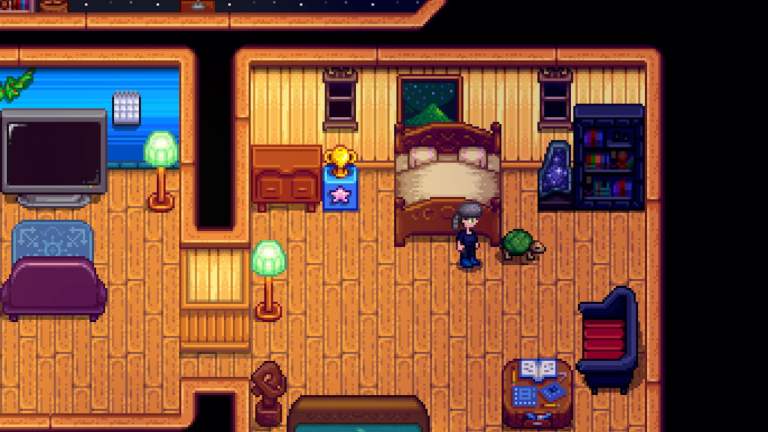 A character inside a room in Stardew Valley stands in front of a turtle.