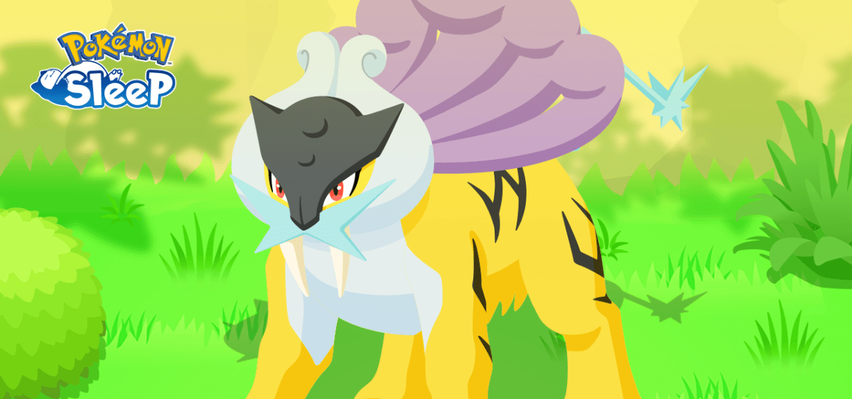 raikou pokemon sleep