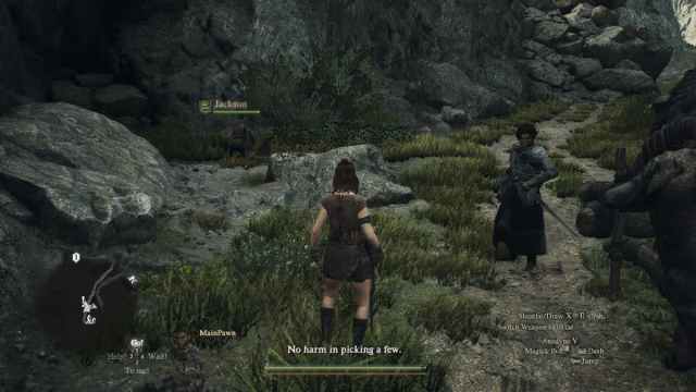 Pawn looting in open world in Dragon's Dogma 2