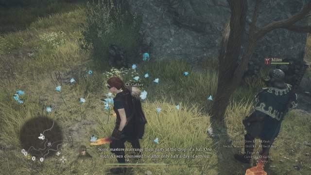 Blue glowing flowers that lead you to Rodge's location in Dragon's Dogma 2