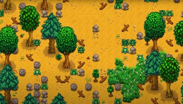 A forest in Stardew Valley.