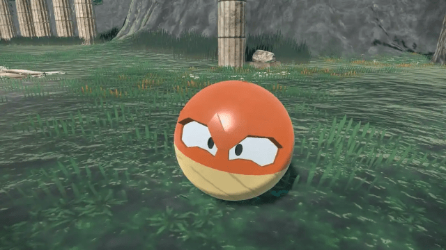 Hisuian Voltorb looking at the camera while sitting on the ground