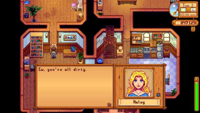The player talking with Haley in Stardew Valley.