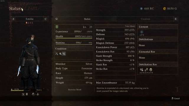 Thief status screen in Dragon's Dogma 2.